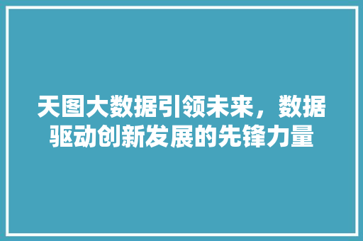 天图大数据引领未来，数据驱动创新发展的先锋力量