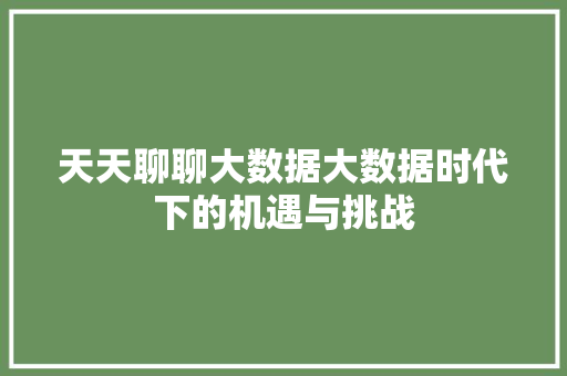 天天聊聊大数据大数据时代下的机遇与挑战
