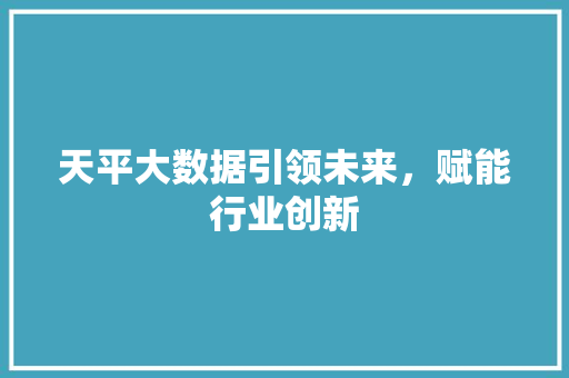 天平大数据引领未来，赋能行业创新