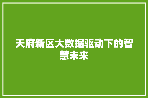 天府新区大数据驱动下的智慧未来
