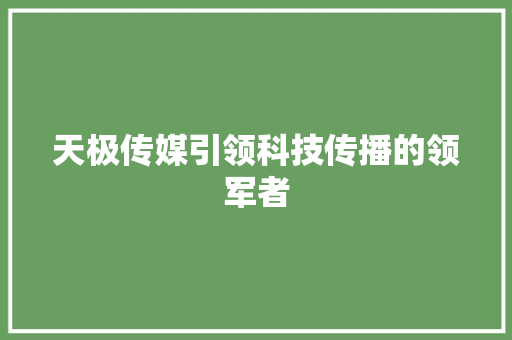 天极传媒引领科技传播的领军者