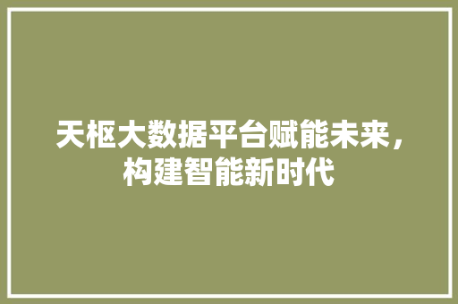 天枢大数据平台赋能未来，构建智能新时代