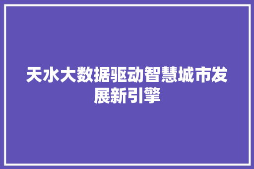 天水大数据驱动智慧城市发展新引擎