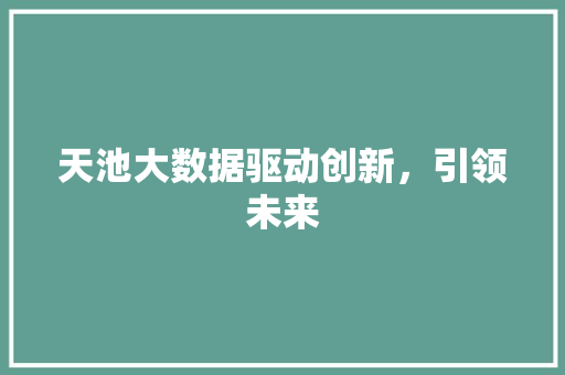 天池大数据驱动创新，引领未来