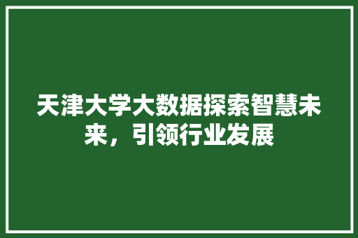 天津大学大数据探索智慧未来，引领行业发展