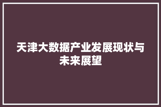 天津大数据产业发展现状与未来展望