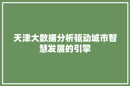 天津大数据分析驱动城市智慧发展的引擎