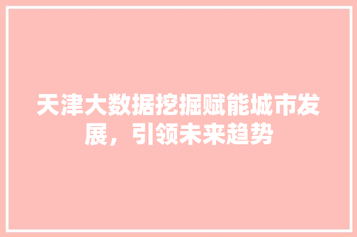 天津大数据挖掘赋能城市发展，引领未来趋势