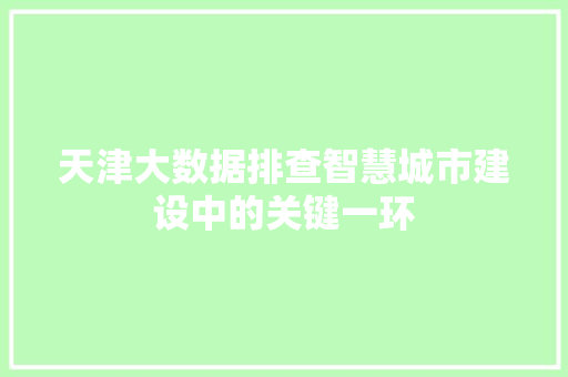天津大数据排查智慧城市建设中的关键一环