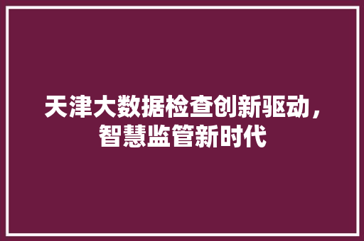 天津大数据检查创新驱动，智慧监管新时代