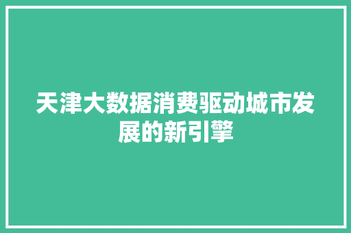 天津大数据消费驱动城市发展的新引擎