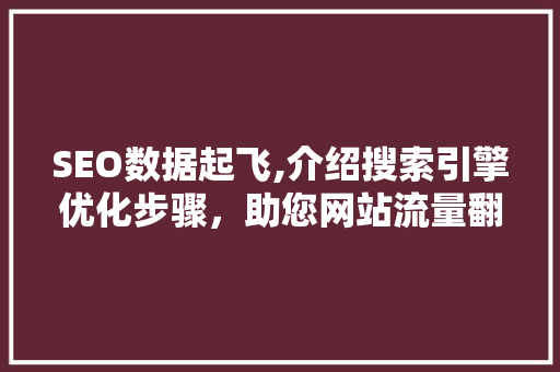 SEO数据起飞,介绍搜索引擎优化步骤，助您网站流量翻倍！