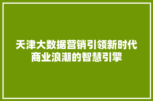 天津大数据营销引领新时代商业浪潮的智慧引擎