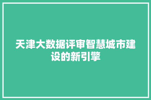 天津大数据评审智慧城市建设的新引擎