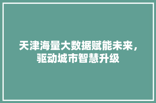 天津海量大数据赋能未来，驱动城市智慧升级