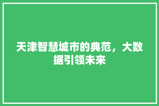 天津智慧城市的典范，大数据引领未来