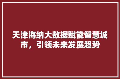 天津海纳大数据赋能智慧城市，引领未来发展趋势