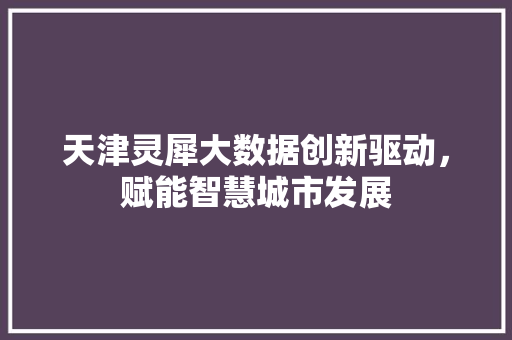 天津灵犀大数据创新驱动，赋能智慧城市发展