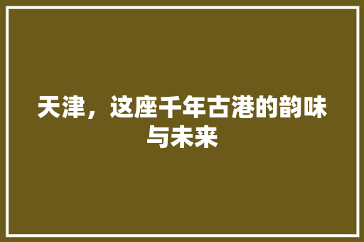 天津，这座千年古港的韵味与未来