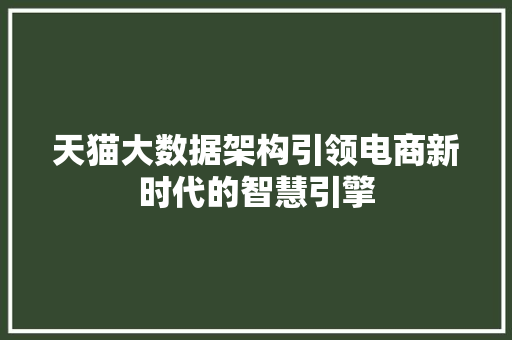 天猫大数据架构引领电商新时代的智慧引擎