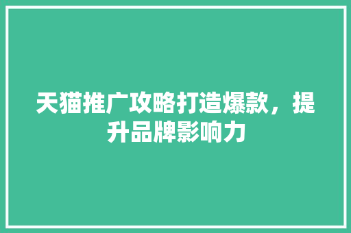 天猫推广攻略打造爆款，提升品牌影响力