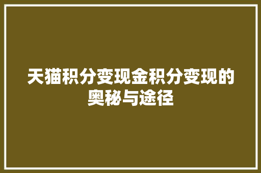 天猫积分变现金积分变现的奥秘与途径