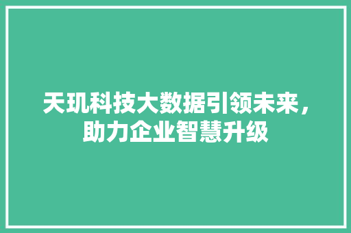 天玑科技大数据引领未来，助力企业智慧升级