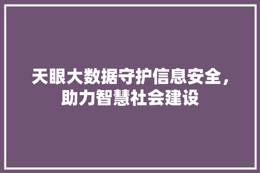 天眼大数据守护信息安全，助力智慧社会建设