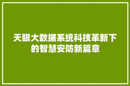 天眼大数据系统科技革新下的智慧安防新篇章