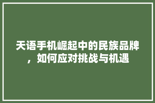 天语手机崛起中的民族品牌，如何应对挑战与机遇