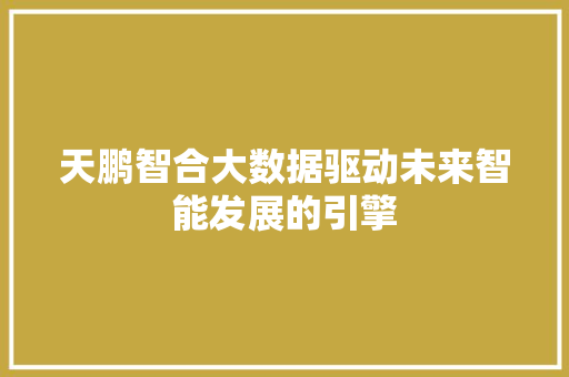天鹏智合大数据驱动未来智能发展的引擎