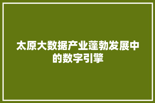 太原大数据产业蓬勃发展中的数字引擎