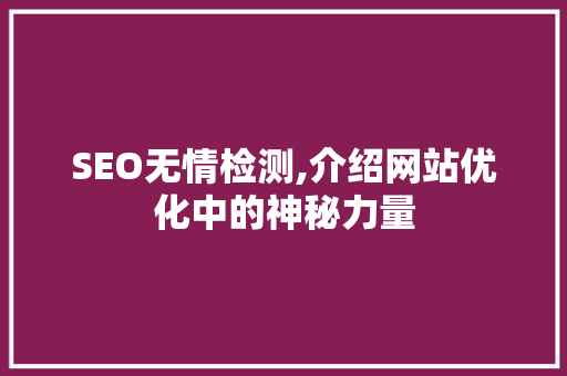 SEO无情检测,介绍网站优化中的神秘力量