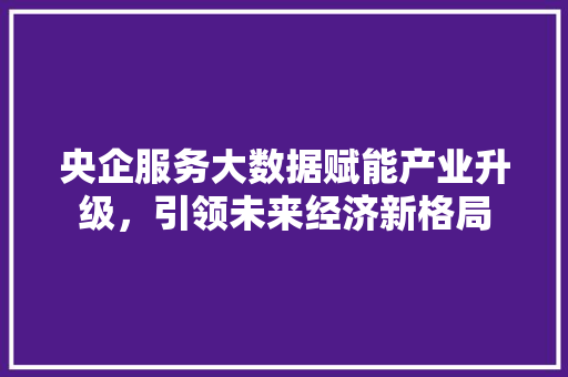 央企服务大数据赋能产业升级，引领未来经济新格局
