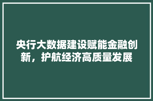 央行大数据建设赋能金融创新，护航经济高质量发展