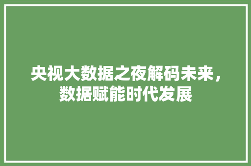 央视大数据之夜解码未来，数据赋能时代发展