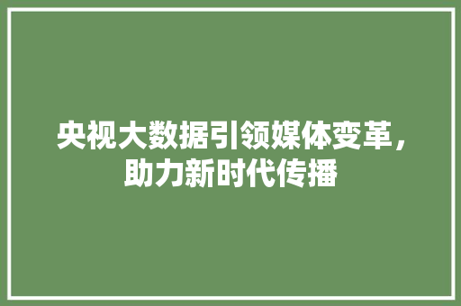 央视大数据引领媒体变革，助力新时代传播