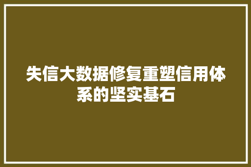 失信大数据修复重塑信用体系的坚实基石
