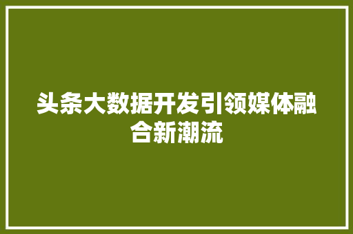 头条大数据开发引领媒体融合新潮流