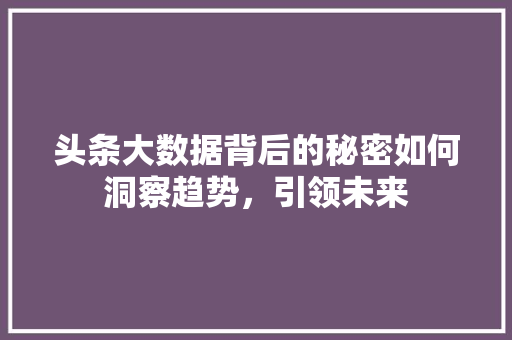 头条大数据背后的秘密如何洞察趋势，引领未来