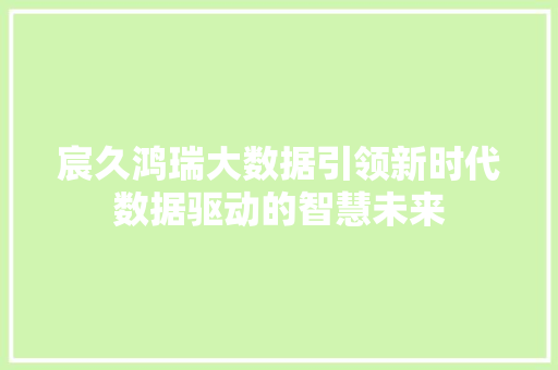 宸久鸿瑞大数据引领新时代数据驱动的智慧未来