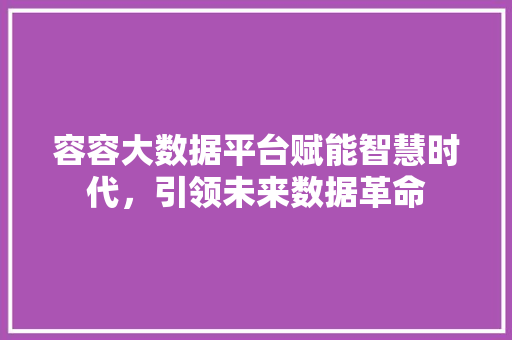 容容大数据平台赋能智慧时代，引领未来数据革命