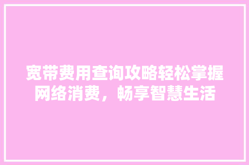 宽带费用查询攻略轻松掌握网络消费，畅享智慧生活