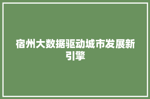 宿州大数据驱动城市发展新引擎