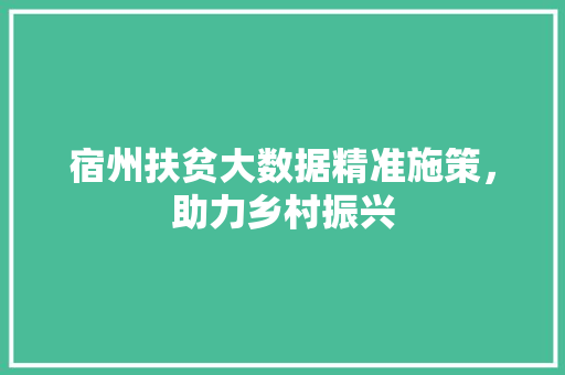 宿州扶贫大数据精准施策，助力乡村振兴