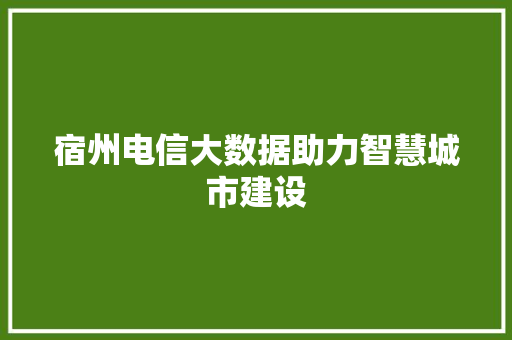 宿州电信大数据助力智慧城市建设