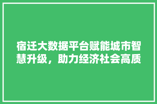 宿迁大数据平台赋能城市智慧升级，助力经济社会高质量发展