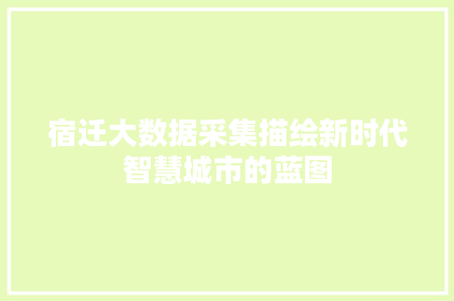 宿迁大数据采集描绘新时代智慧城市的蓝图