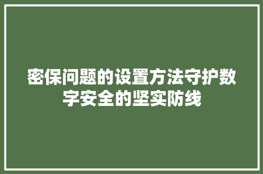 密保问题的设置方法守护数字安全的坚实防线