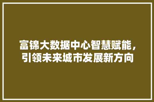 富锦大数据中心智慧赋能，引领未来城市发展新方向